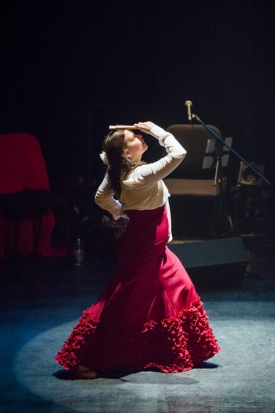 Flamenco Aquí